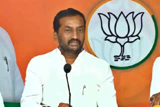 MLA Raghunandan Rao