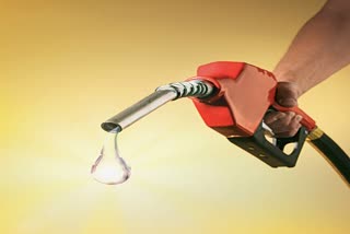petrol diesel price: પેટ્રોલ ડીઝલની કિંમતમાં ઘણા દિવસોથી કોઈ વધારો નહીં