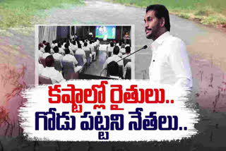 YCP Government