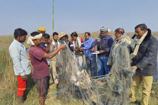 बिहार में प्रवासी पक्षी