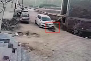 car crushed bitch in faridabad