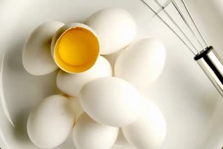 Egg Yolk for Health News