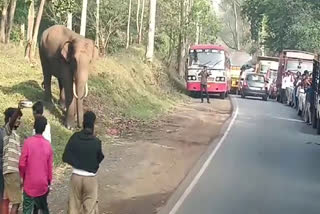 போராட்டத்தின்போது யானையுடன் ஓட்டுநர்கள் செல்பி