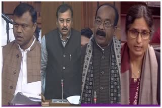 Chhattisgarh MPs questions in winter session