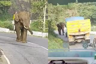 தூக்கி அடிச்சுருவேன் பாத்துக்கோ..! லாரியுடன் மல்லுகட்டிய காட்டுயானை