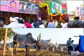 Ghati Dhanagala fair