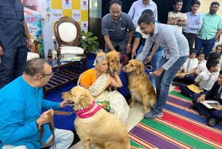 Sudhamurthy playing with Petdogs
