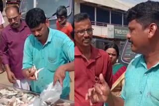 Argentina world cup win  free fish distribution after Argentina win  അര്‍ജന്‍റീന  അര്‍ജന്‍റീനയുടെ വിജയത്തില്‍ സന്തോഷം