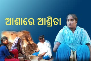 ରାୟ ମିଳିବାର ୧୦ ବର୍ଷ ପରେ ବି ମିଳୁନି କ୍ଷତିପୂରଣ: ଆଶାରେ ଆଦିବାସୀ ଝିଅ ଆଶ୍ରିତା