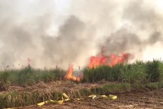 Fire on Sugarcane Farm