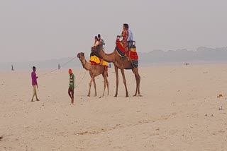 वाराणसी में ऊंट की सवारी का आनंद उठा रहे पर्यटक
