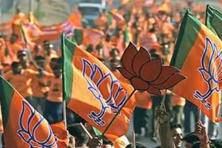 BJP's organizational meeting next month (representational image)