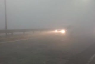 Visibility badly affected due to fog in Noida