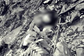 naxalite killed in encounter with police
