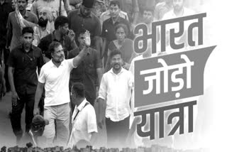 bharat jodo yatra in haryana