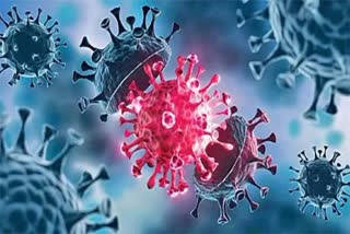 indian government alerts on coronavirus