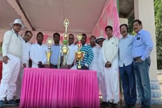 Lawyer Association T20 Cricket Tournament