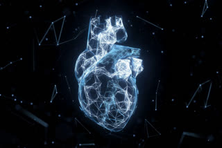 AI-derived digital marker to measure characteristics of heart disease in patients : Study