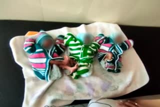 Woman Gave Birth Triplets in a Dungarpur Government Hospital of Rajasthan