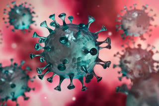 coronavirus alert in himachal