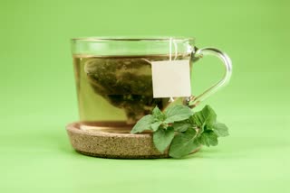 Green tea protection for air filters