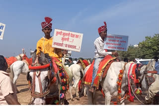 Men hold protest demanding girls for marriage in collector's office in Maharashtra