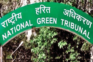 NGT in commercial activities in Nahargarh fort, sought reply from center, state govt and wildlife board