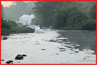 White Foam in Valdhuni River Basin; Incident Happened Due to Chemical Waste Water Being Released into River