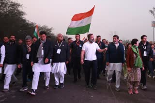 rahul gandhi bharat jodo yatra