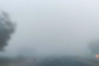 Dense fog in parts of Rajasthan, Bikaner coldest at 4.6 degree C