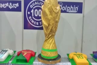 FIFA World Cup fame in cakes
