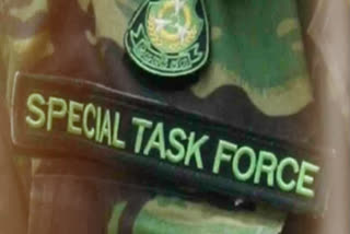 STF Arrests Suspected