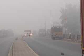 गोपालगंज में  छाया रहा कुहासा