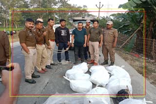 Ganja with two smugglers arrested by Biswanath police in Biswanath