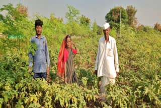 various crops in one acre