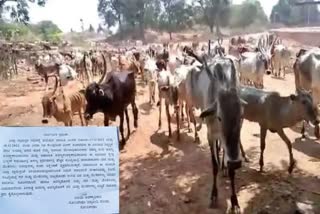 Do not keep more cows and goats Notice from forest department in karnataka