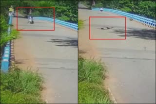 Cctv  accident  accident news kannur  kerala news  malayalam news  bike accident  student died in bike accident kannur  bike lost control on the Malapattam Cape Bridge  bike accident student died  അപകടം  വിദ്യാർഥി മരിച്ചു  ബൈക്ക് നിയന്ത്രണം വിട്ട് മറിഞ്ഞ് വിദ്യാർഥി മരിച്ചു  മുനമ്പ് പാലത്തിൽ ബൈക്ക് നിയന്ത്രണം വിട്ട് മറിഞ്ഞു  ബൈക്ക് അപകടത്തിൽ വിദ്യാർഥി മരിച്ചു  ബൈക്ക് അപകടം  കണ്ണൂർ വാർത്തകൾ  കേരള വാർത്തകൾ  മലയാളം വാർത്തകൾ  bike accident student died malappattam