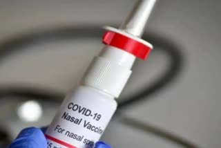 govt approved nasal vaccine in india