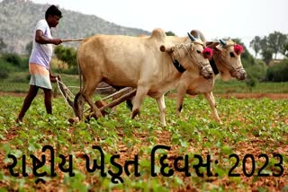 Etv Bharatરાષ્ટ્રીય ખેડૂત દિવસ ફક્ત ભારતમાં જ કેમ 23 ડિસેમ્બરે ઉજવવામાં આવે છે