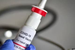 Nasal Corona Vaccine