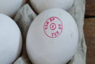 YSR STAMP ON EGGS