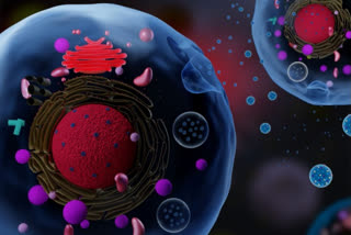 Cellular messengers improve cancer therapy