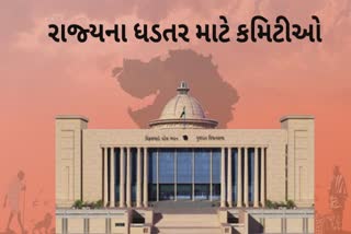 ગુજરાત વિધાનસભામાં વિકાસના કામો માટે 19 કમિટી, જુઓ કઈ કમિટી શું કામ કરશે