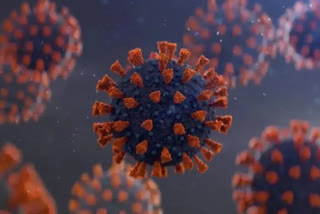 BF.7 variant of coronavirus not worrisome for India, assures senior scientist Rakesh Mishra