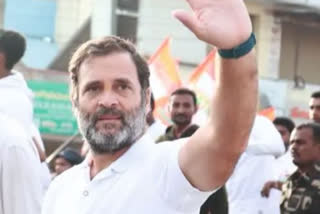 Rahul Gandhi's Bharat Jodo Yatra reaches Delhi