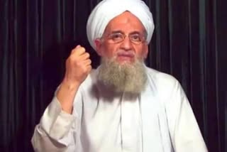 Video of Al Qaeda chief al-Zawahiri (file photo)