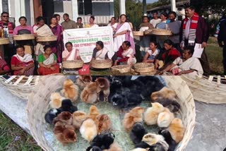 Distribution hens to 120 families under Animal Department in Jonai