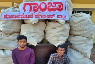 ganja supplying case in bengaluru