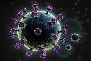 Age of corona virus present in india china and world