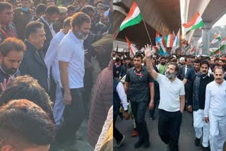 Rahul Bharat Jodo Yatra